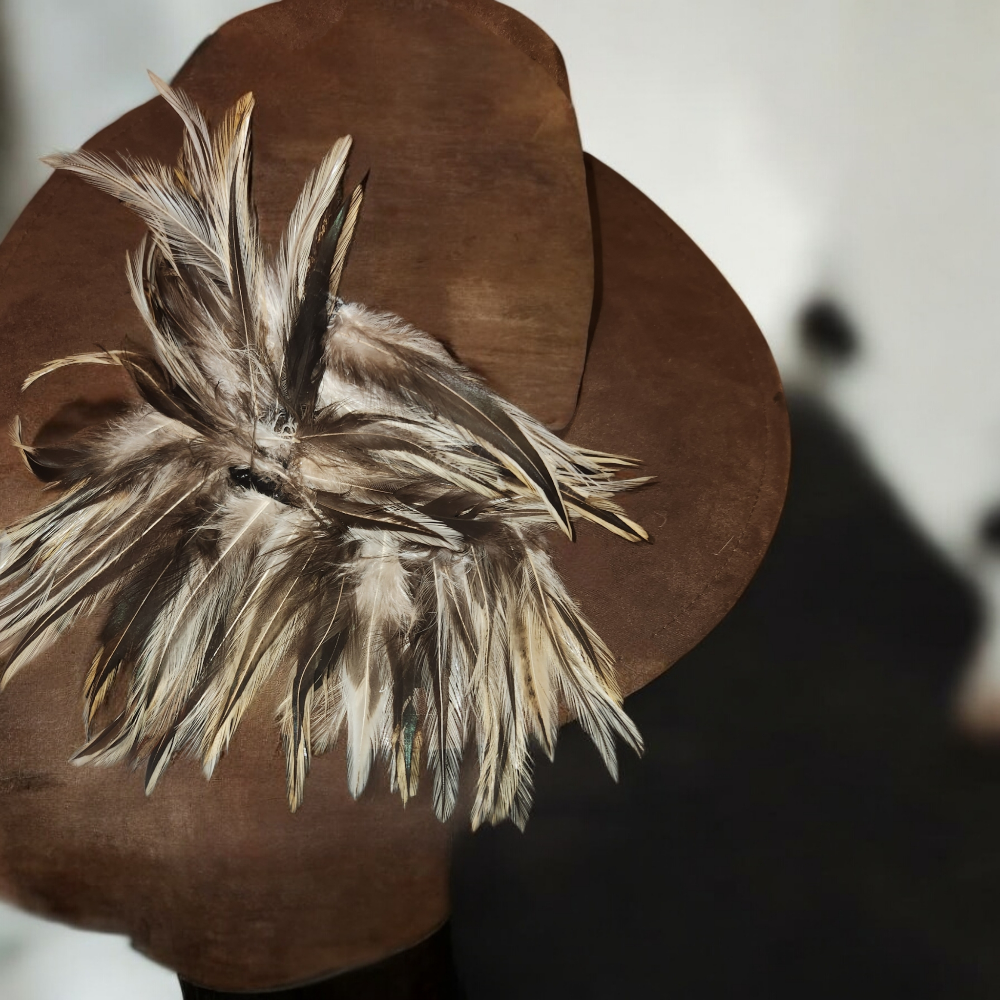 Elegant Feathered Brim