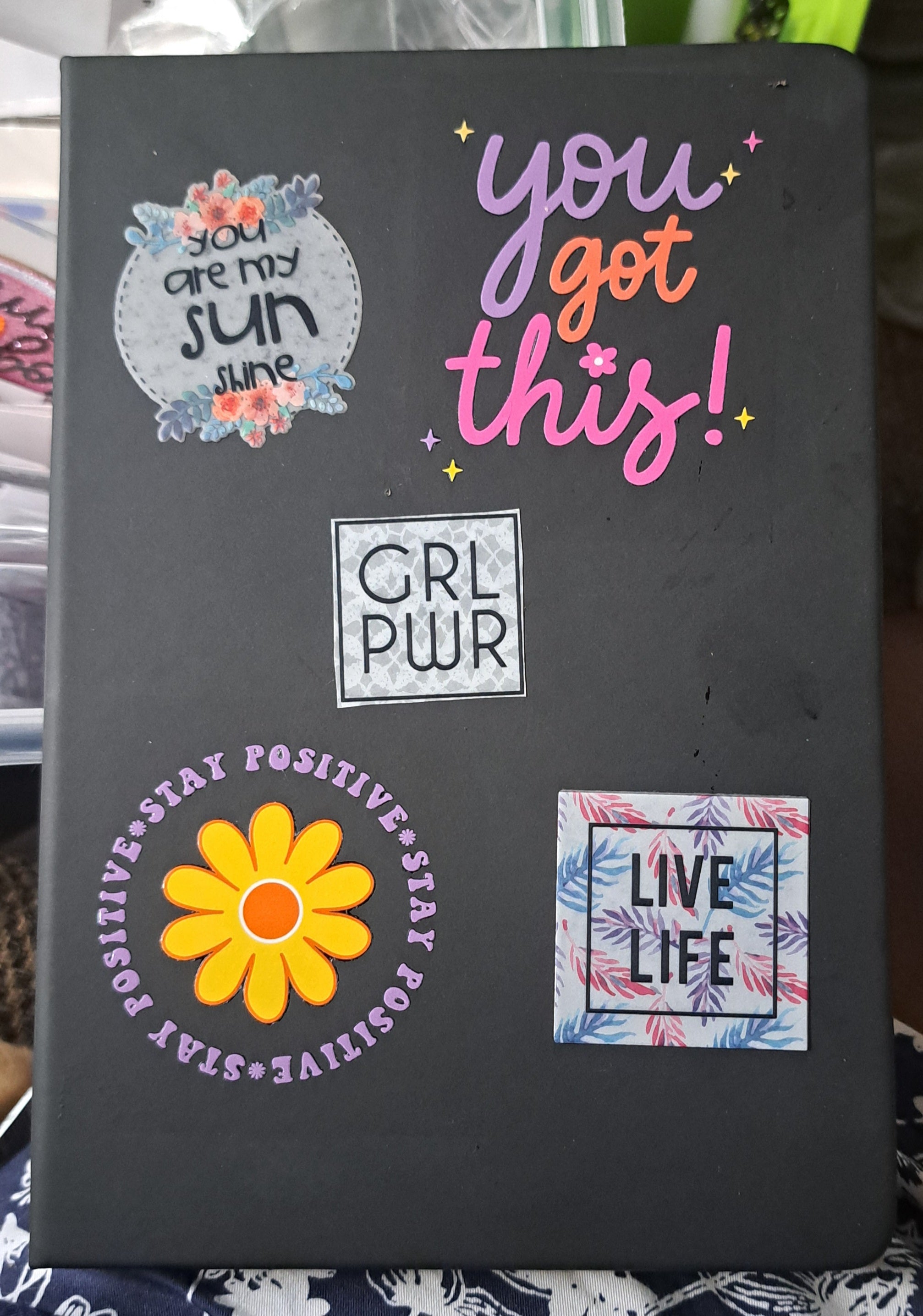 Journals/pen set
