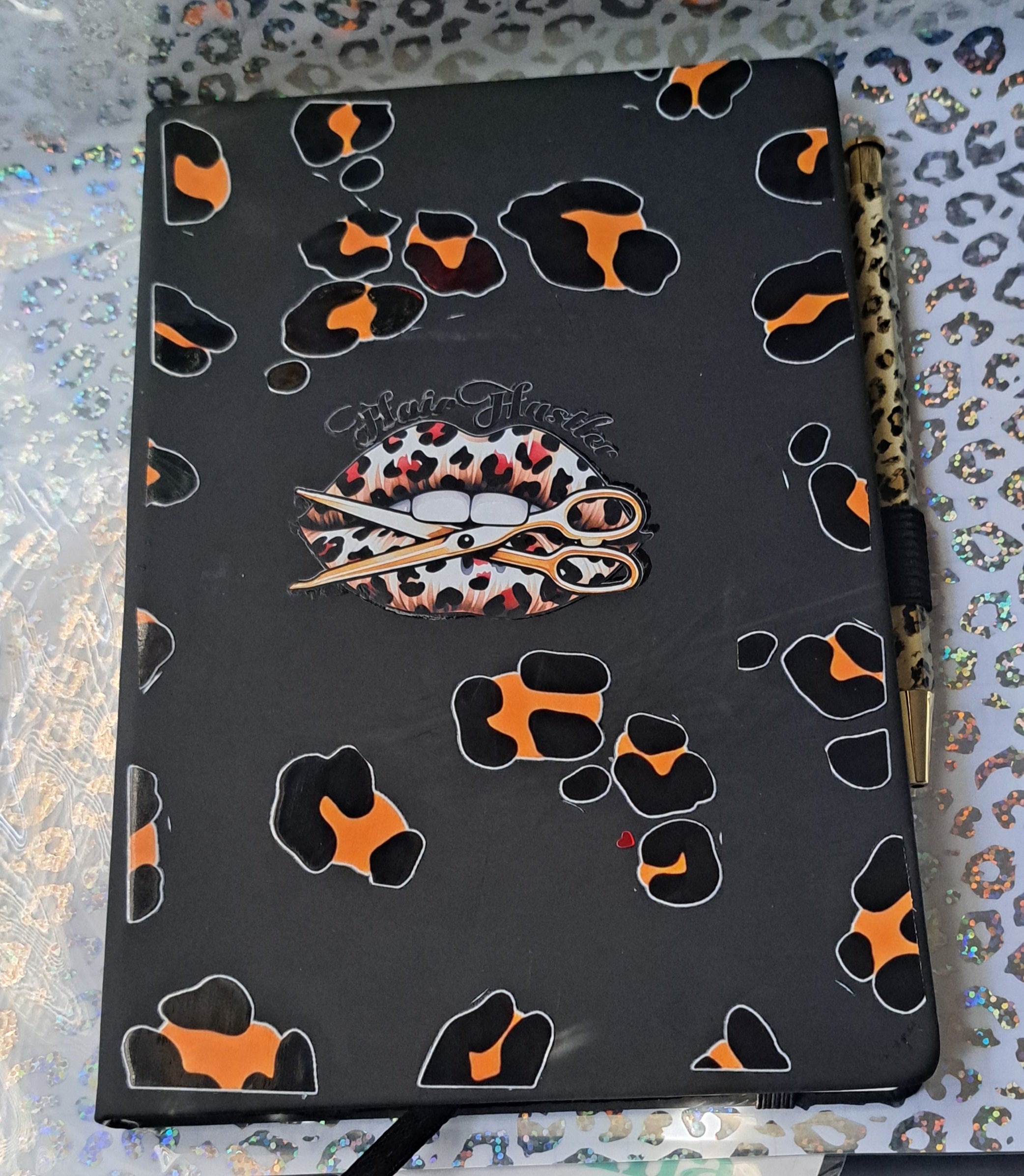 Journals/pen set