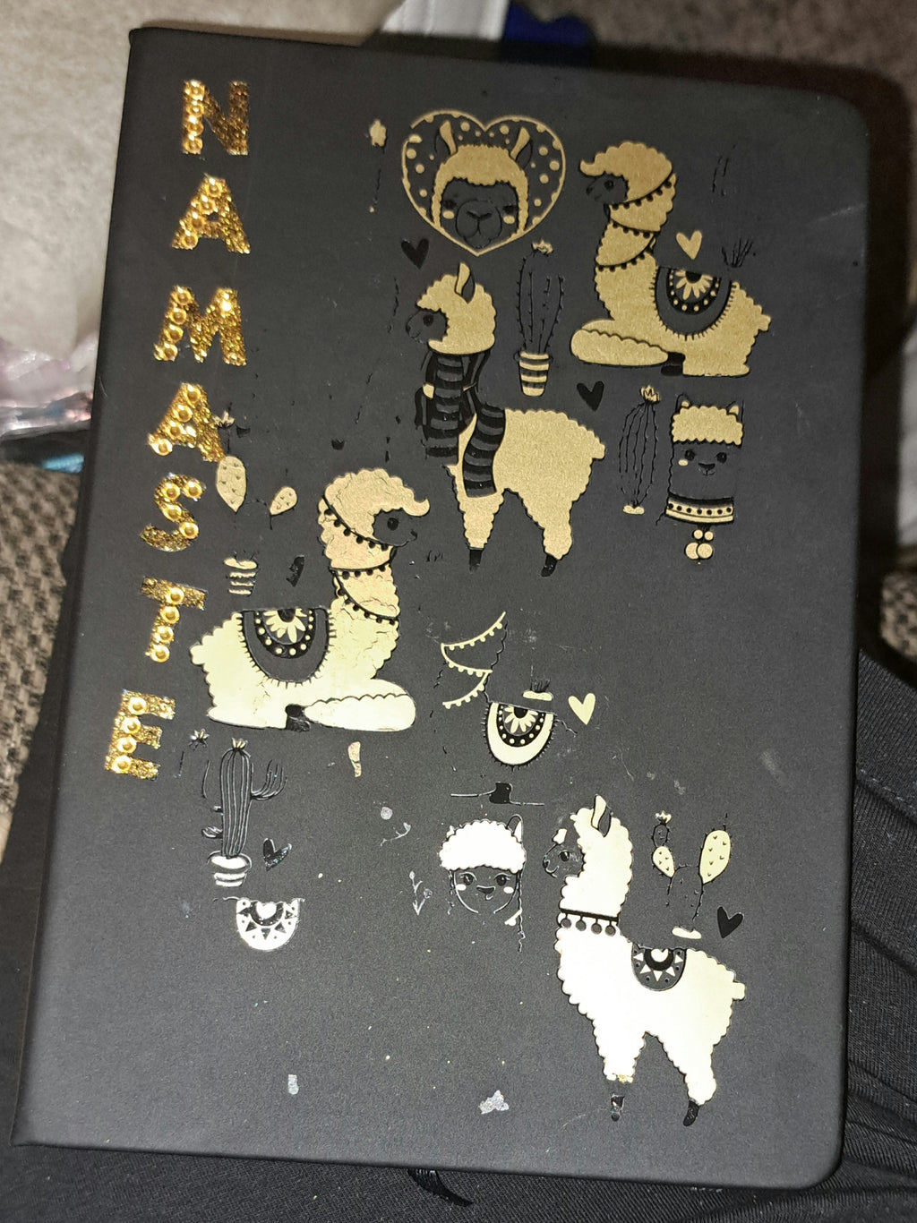 Journals/pen set